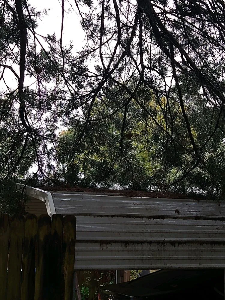 Custom garden landscaping near you in Longview, TX by Big Mike & Son's Lawn care