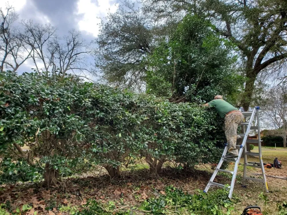 Expert landscaping services in Longview, TX by Big Mike & Son's Lawn care