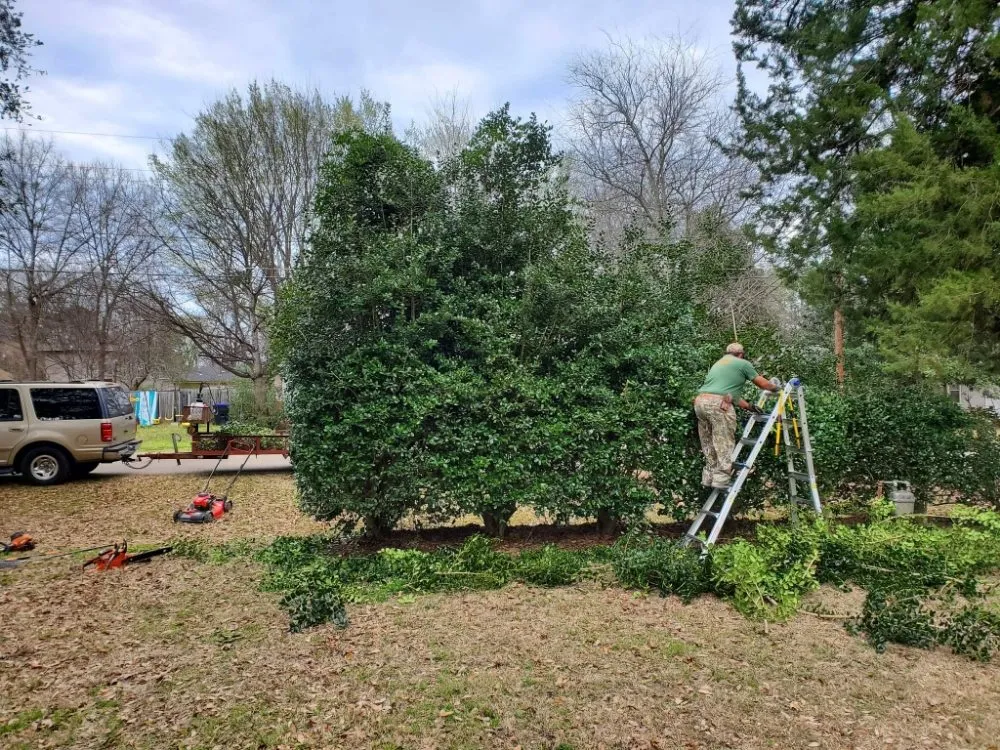 Reliable lawn care service with custom design across Longview, TX - Big Mike & Son's Lawn care