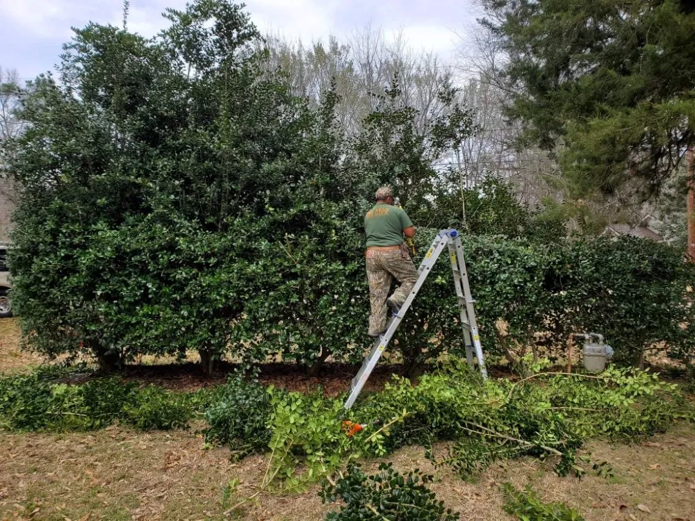 Local yard cleanup service experts serving Longview, TX - Big Mike & Son's Lawn care