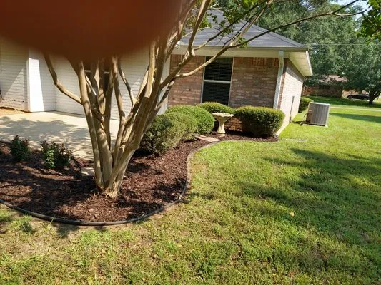 Big Mike & Son's Lawn care Logo