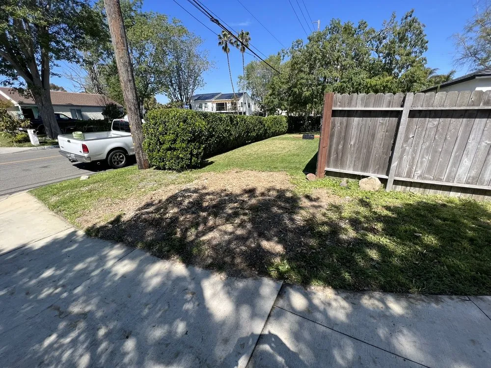 Local lawn care service experts serving Costa Mesa, CA - Big Mike & Sons' Tree Service