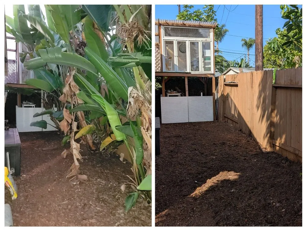 Top-rated landscaping services in Costa Mesa, CA - Big Mike & Sons' Tree Service