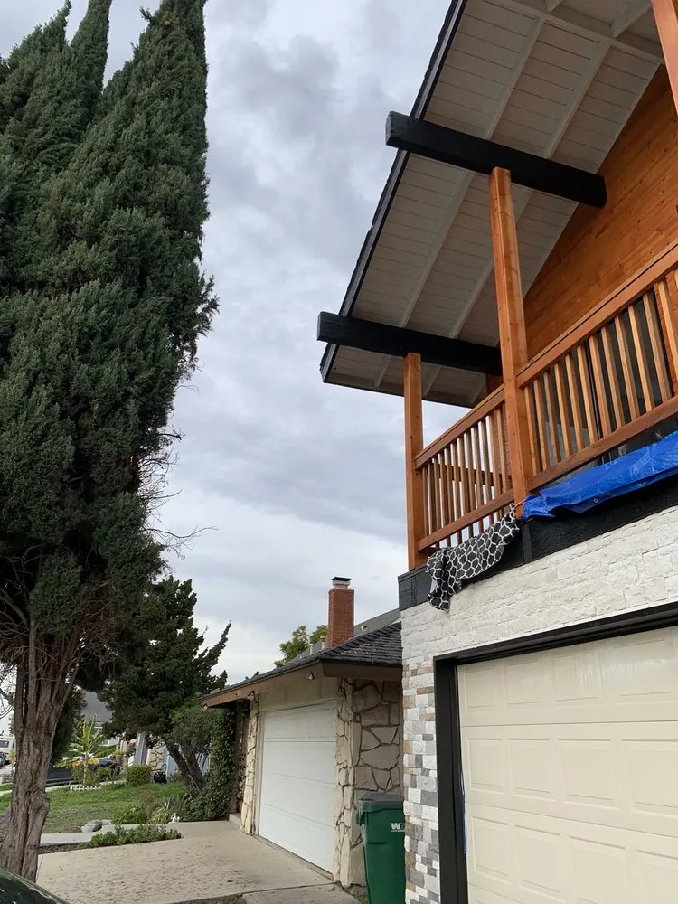 Reliable lawn care service experts serving Costa Mesa, CA - Big Mike & Sons' Tree Service