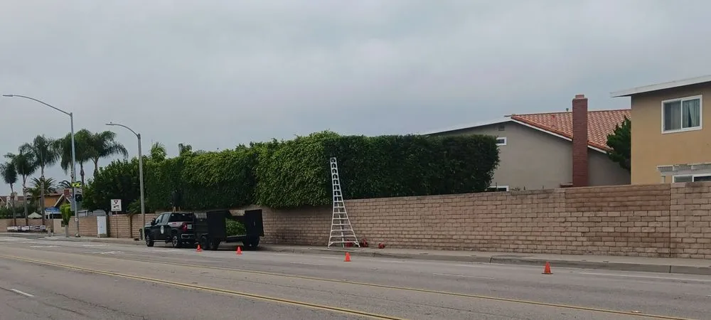 Trusted garden landscaping for outdoor upgrades across Costa Mesa, CA - Big Mike & Sons' Tree Service