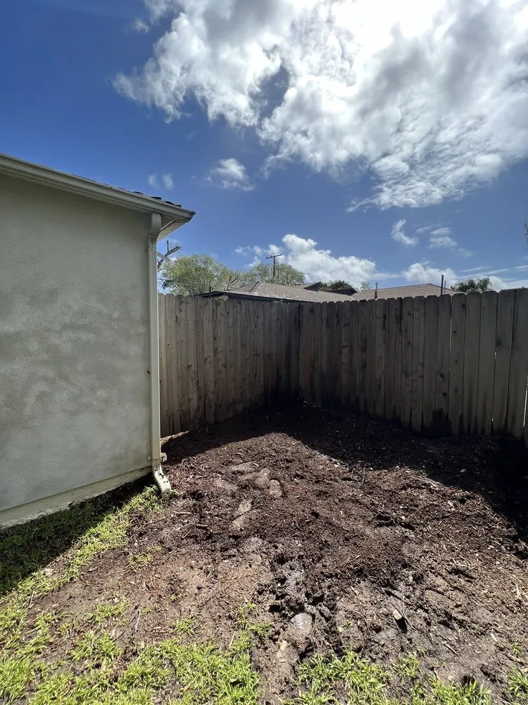 Top-rated lawn mowing service near you in Costa Mesa, CA by Big Mike & Sons' Tree Service