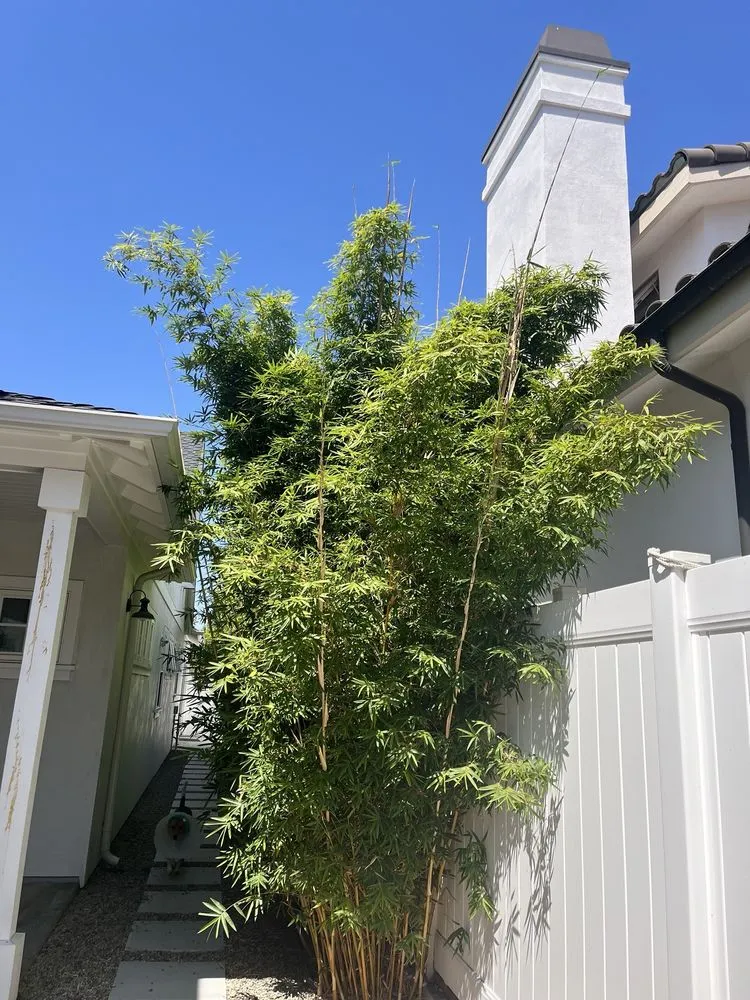 Reliable residential landscaping near you in Costa Mesa, CA by Big Mike & Sons' Tree Service