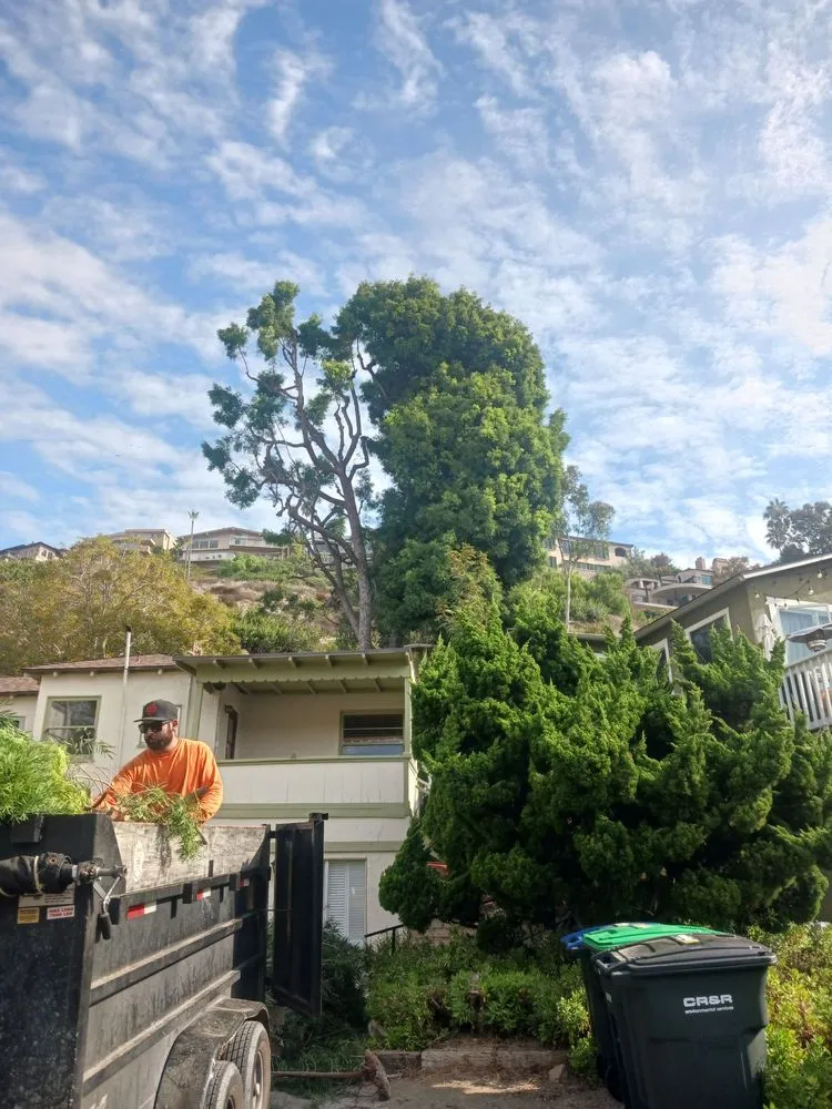 Reliable outdoor landscaping for outdoor upgrades across Costa Mesa, CA - Big Mike & Sons' Tree Service