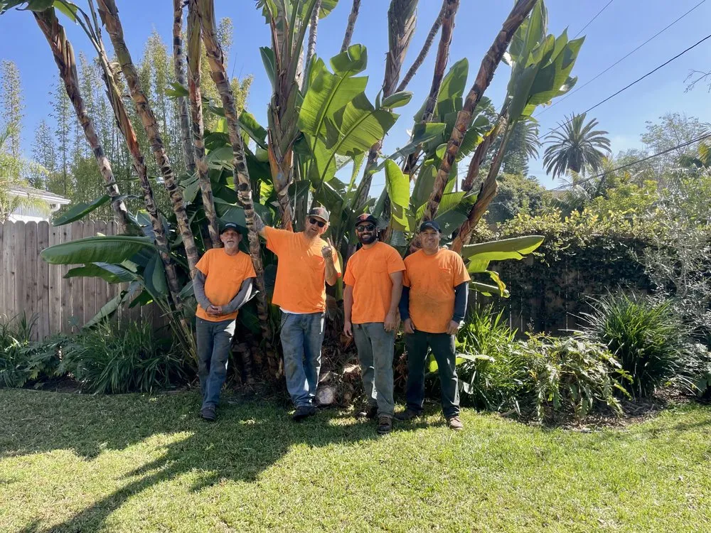 Reliable yard cleanup service experts serving Costa Mesa, CA - Big Mike & Sons' Tree Service