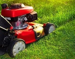 Big Mike Mowing Logo