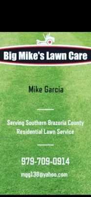 Big Mike's Lawn Care