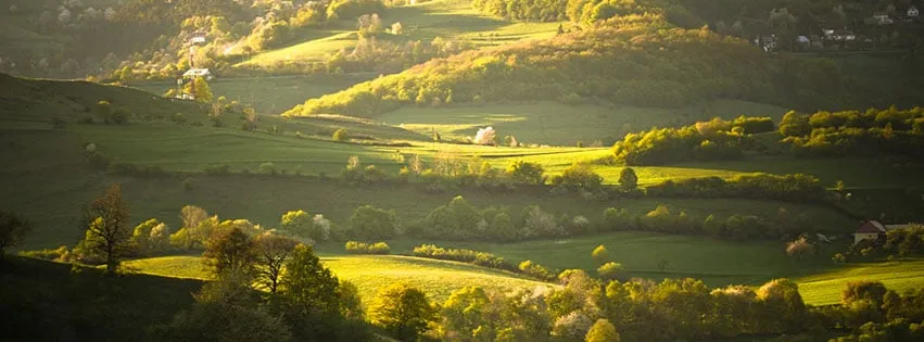 Affordable yard cleanup service experts serving Livermore, CA - Big Mike's Lawn Care