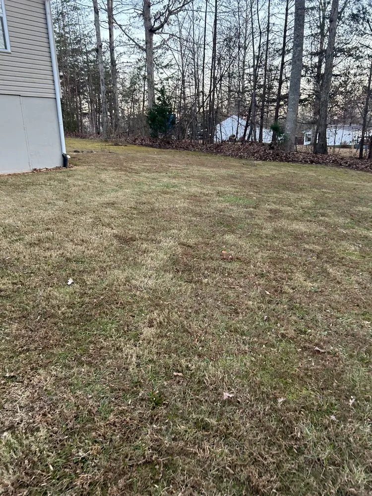 Reliable landscape installation for year-round maintenance in Stoneville, NC by Big Mike’s Lawn Care