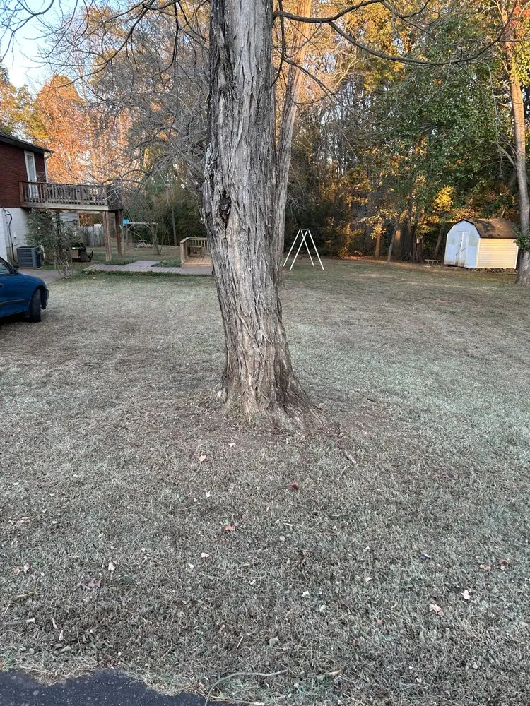 Affordable lawn care service in Stoneville, NC - Big Mike’s Lawn Care