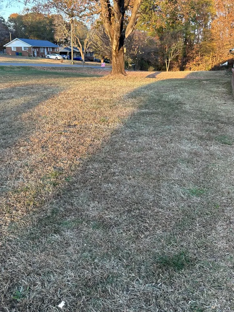 Top-rated landscaping services experts serving Stoneville, NC - Big Mike’s Lawn Care