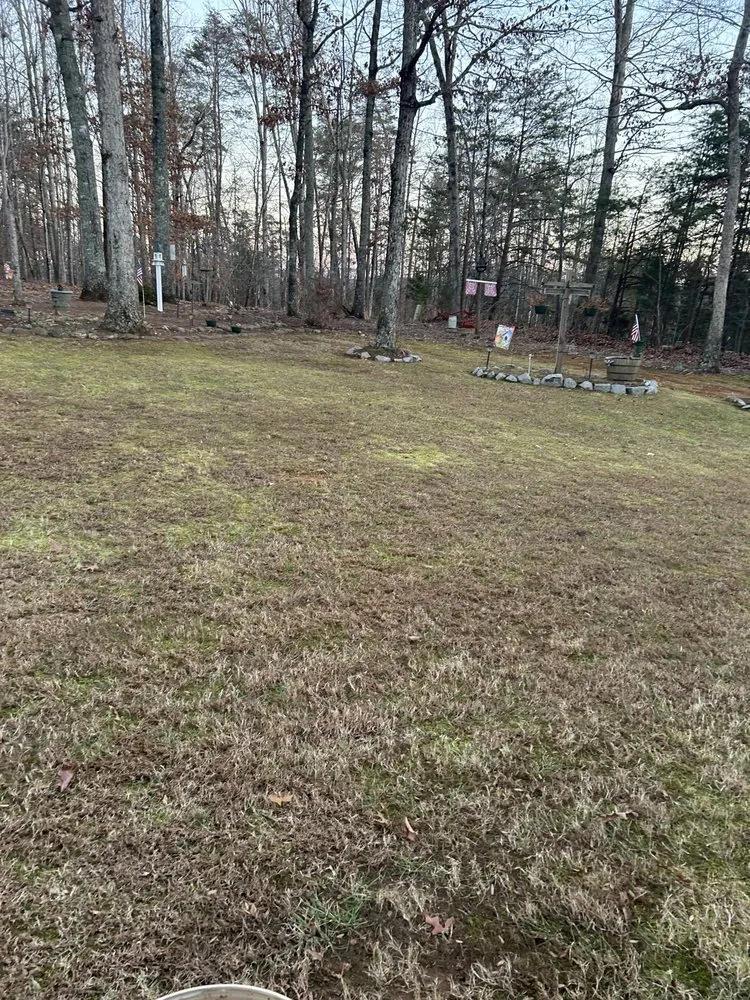 Custom yard cleanup service experts serving Stoneville, NC - Big Mike’s Lawn Care