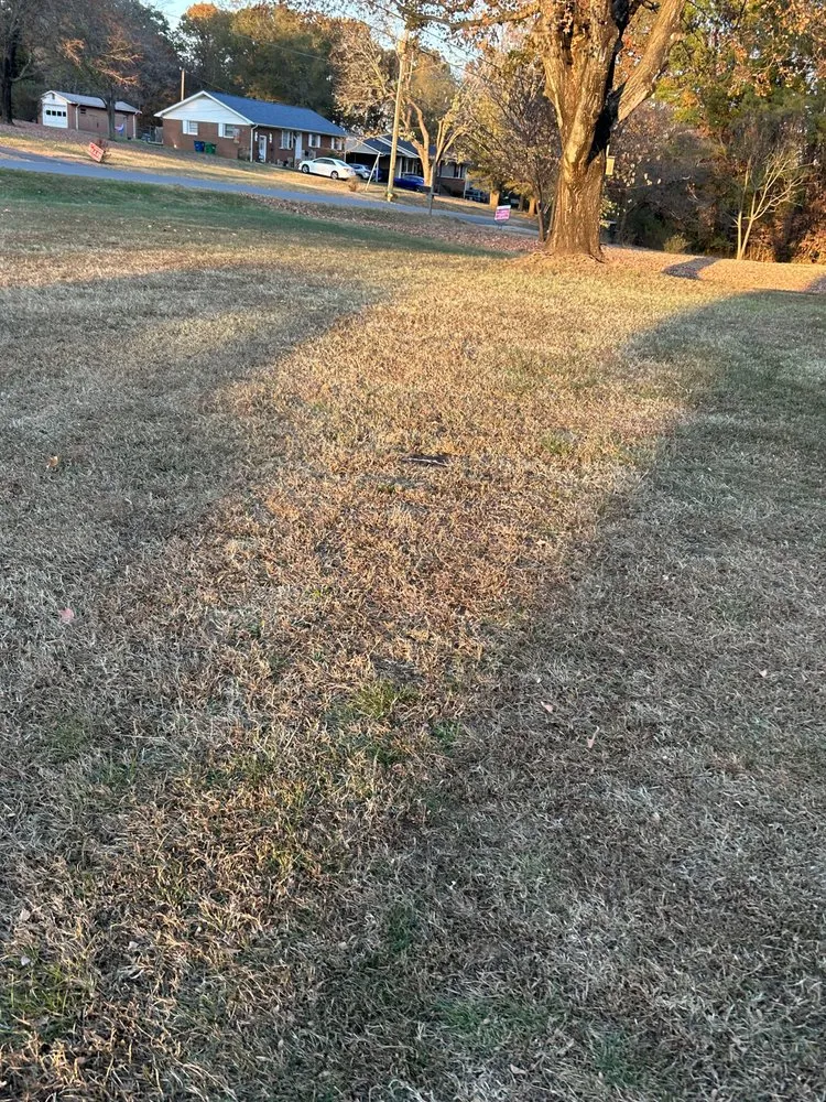 Expert lawn mowing service for beautiful yards in Stoneville, NC by Big Mike’s Lawn Care