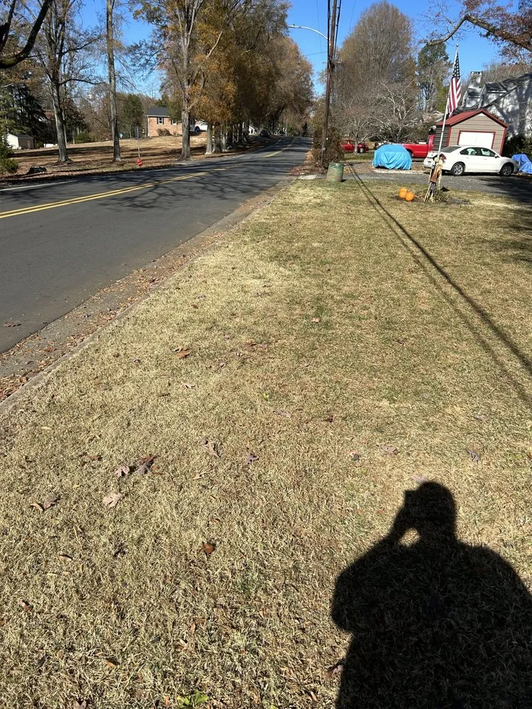 Reliable outdoor landscaping experts serving Stoneville, NC - Big Mike’s Lawn Care