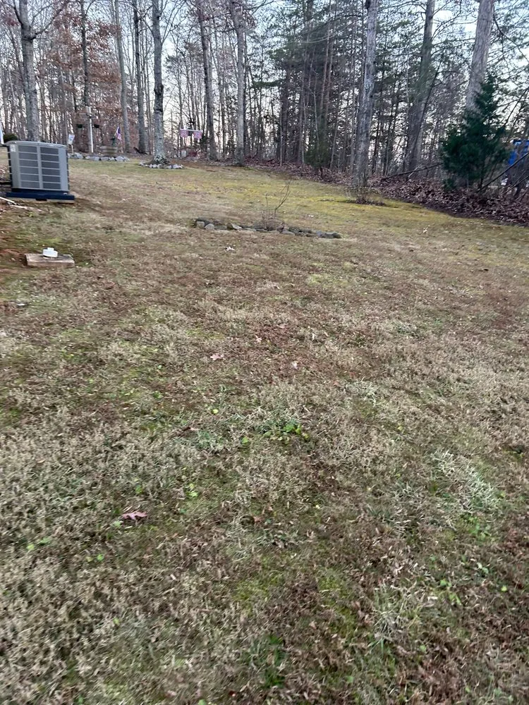 Trusted lawn care service experts serving Stoneville, NC - Big Mike’s Lawn Care