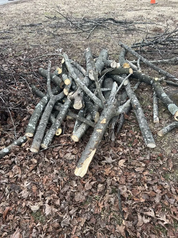 Trusted yard cleanup service in Stoneville, NC by Big Mike’s Lawn Care