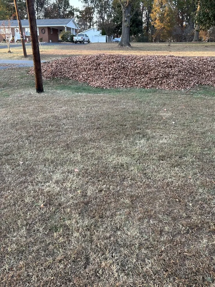 Affordable garden landscaping experts serving Stoneville, NC - Big Mike’s Lawn Care