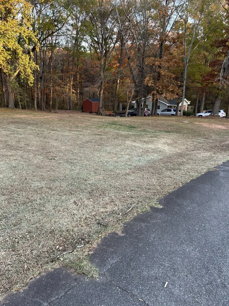 Local yard maintenance in Stoneville, NC - Big Mike’s Lawn Care