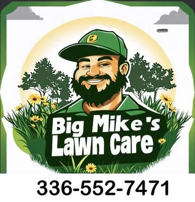 Big Mike’s Lawn Care