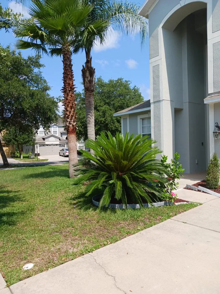 Custom outdoor landscaping for homes across Seffner, FL - Big Mikes Lawncare