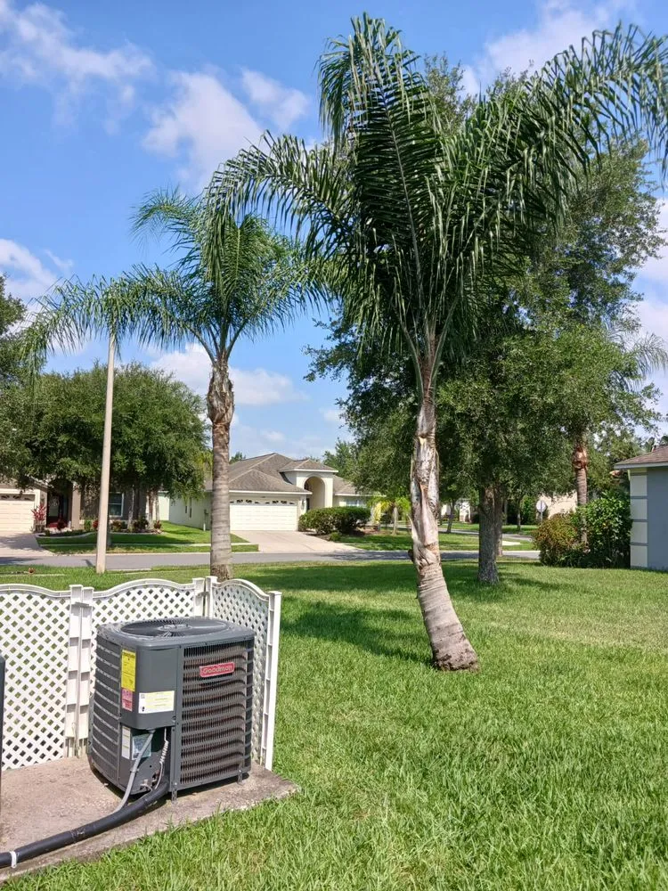 Affordable lawn care service in Seffner, FL - Big Mikes Lawncare