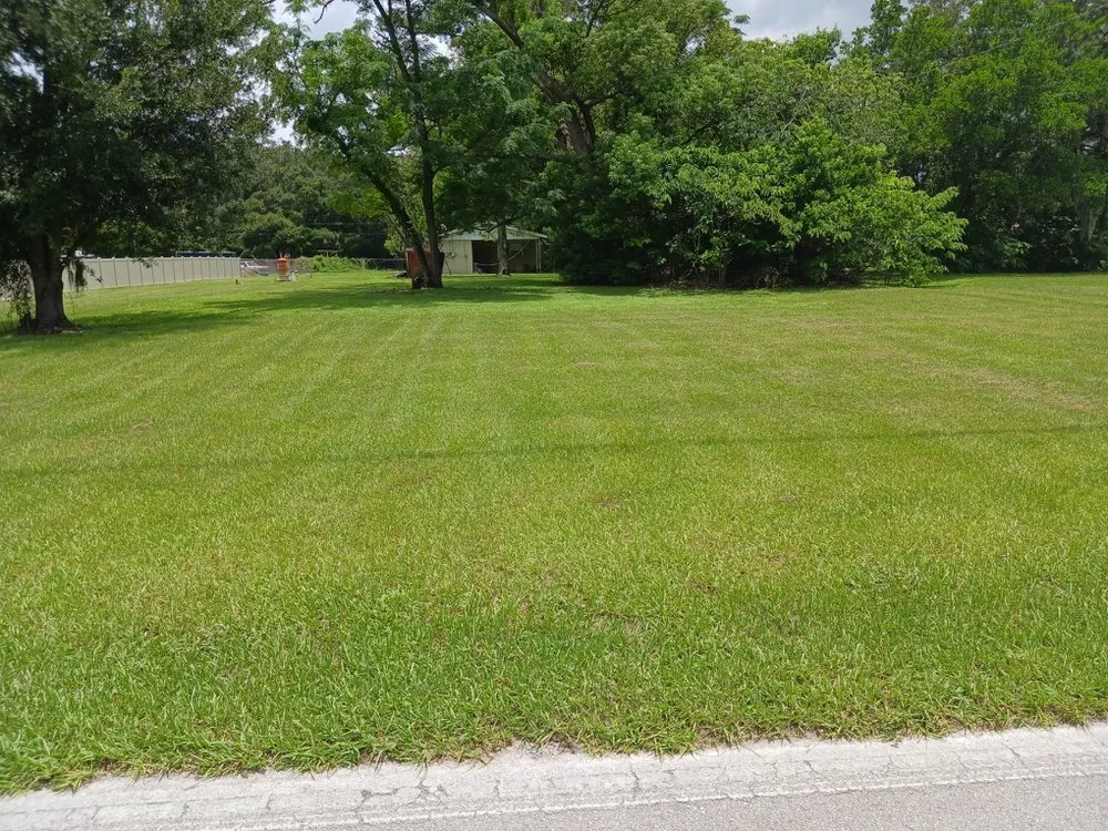 Affordable landscape installation in Seffner, FL by Big Mikes Lawncare