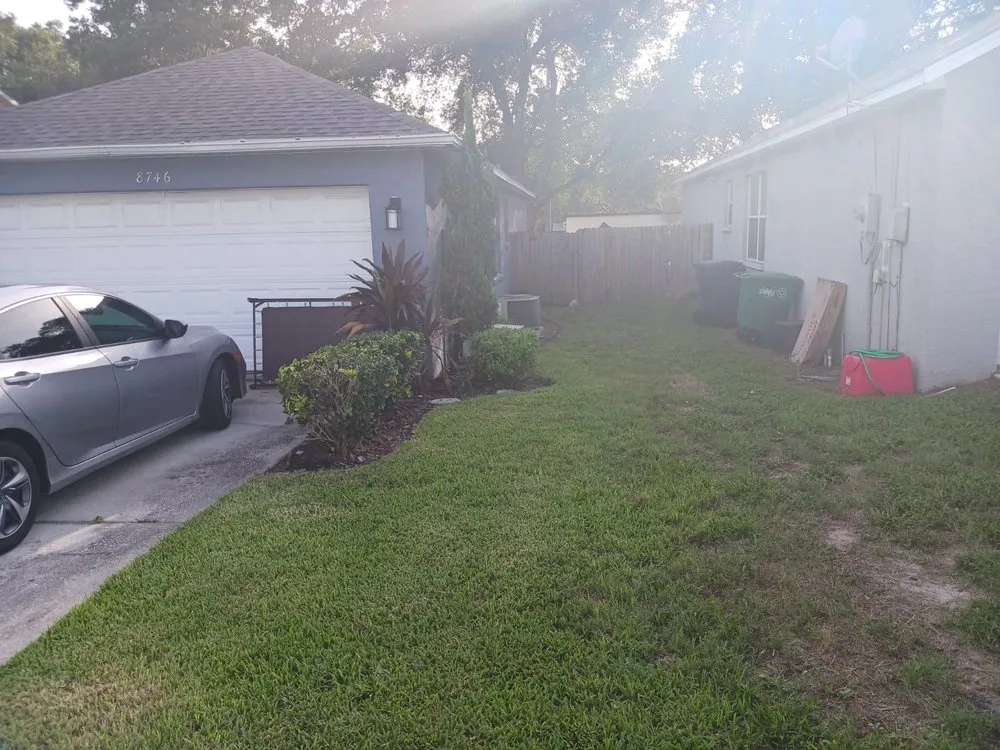 Custom lawn mowing service near you in Seffner, FL by Big Mikes Lawncare