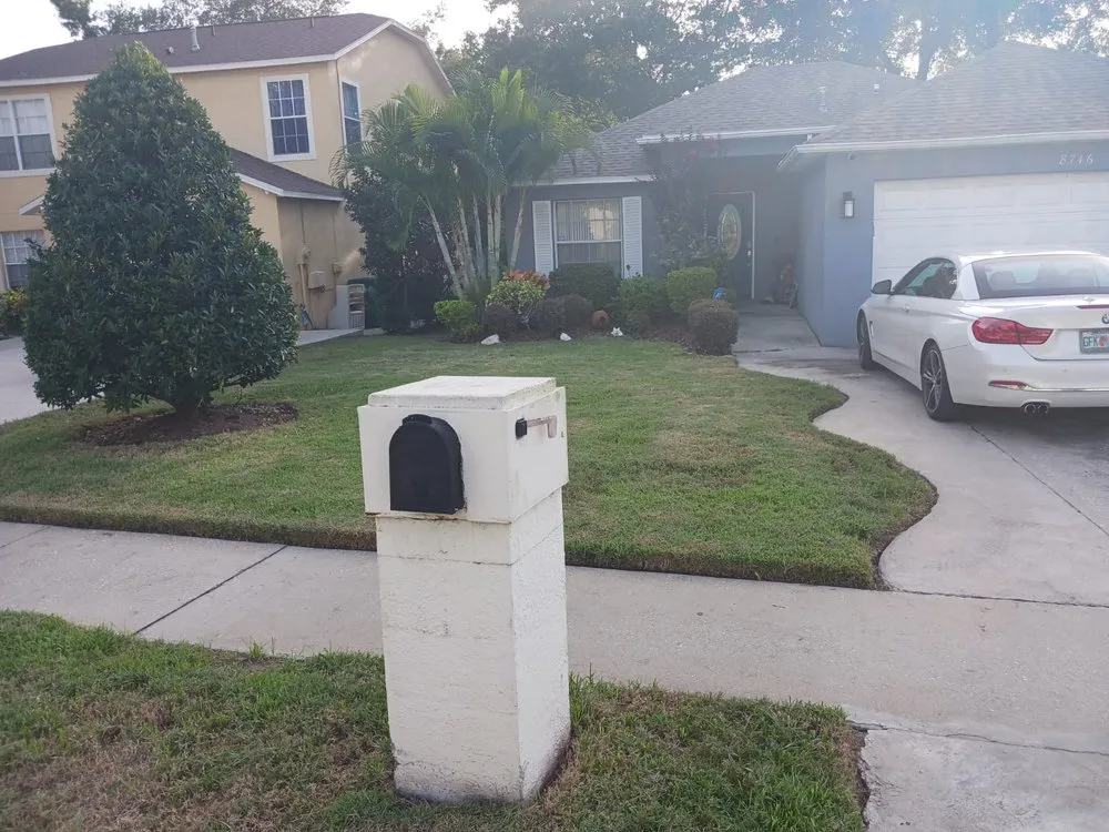 Reliable yard cleanup service experts serving Seffner, FL - Big Mikes Lawncare
