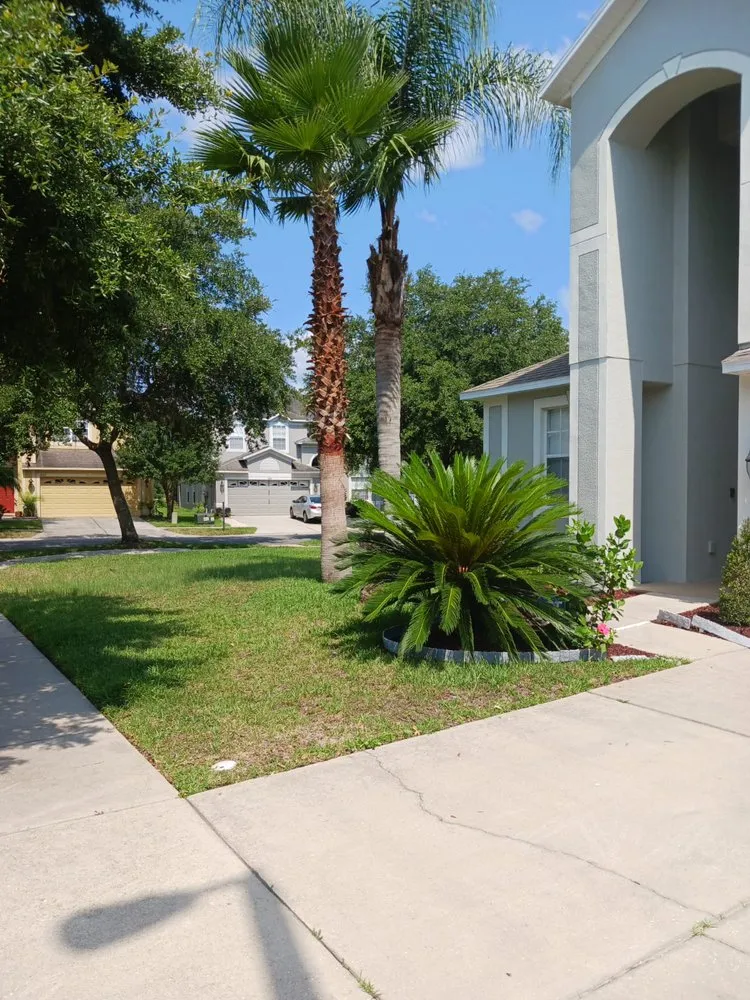 Expert lawn care service in Seffner, FL by Big Mikes Lawncare