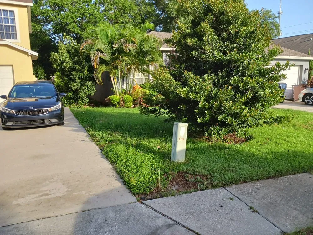 Top-rated lawn care service for beautiful yards across Seffner, FL - Big Mikes Lawncare