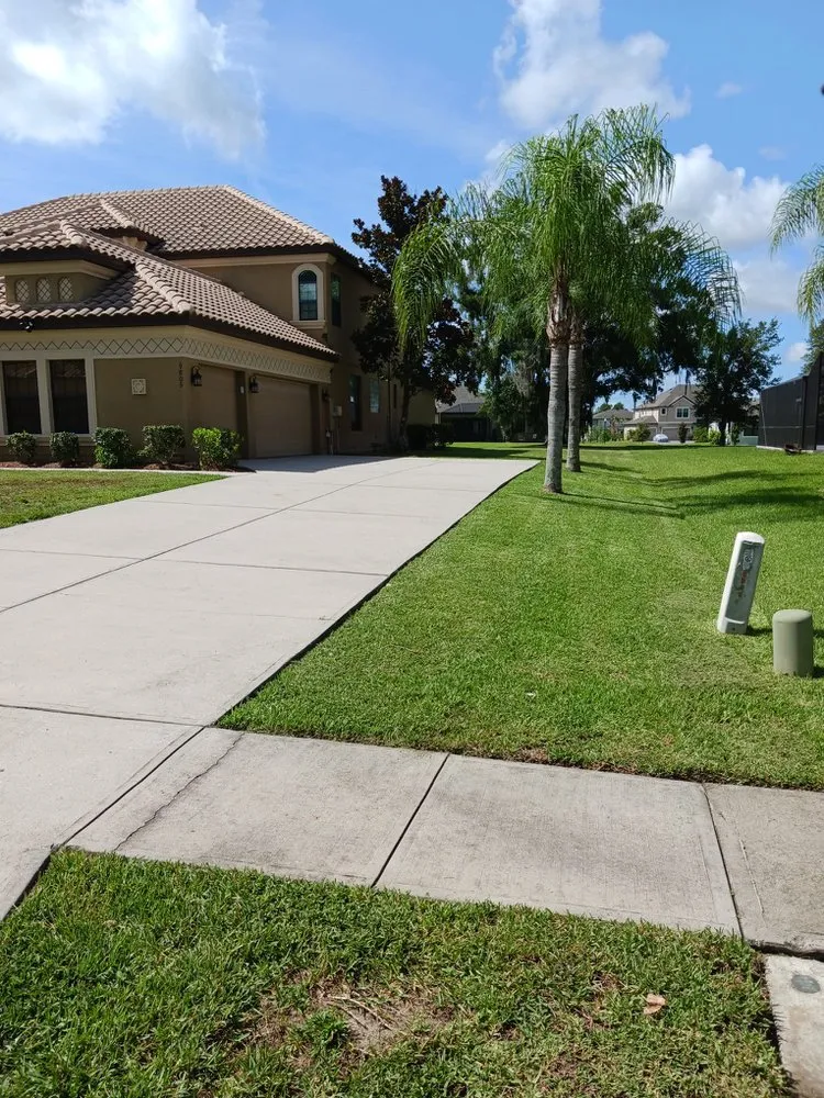 Reliable lawn mowing service in Seffner, FL - Big Mikes Lawncare