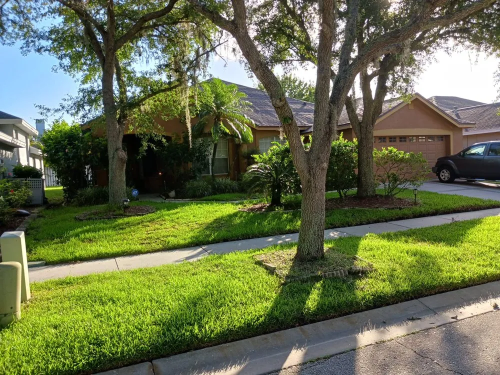 Top-rated yard cleanup service with custom design in Seffner, FL by Big Mikes Lawncare