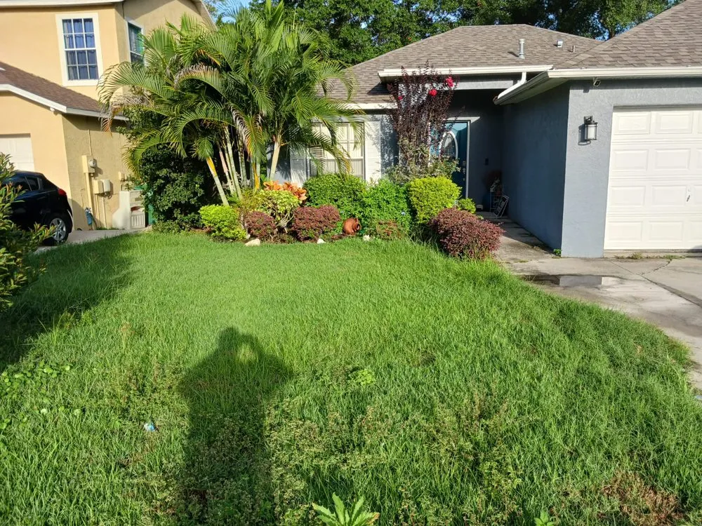 Top-rated outdoor landscaping in Seffner, FL by Big Mikes Lawncare