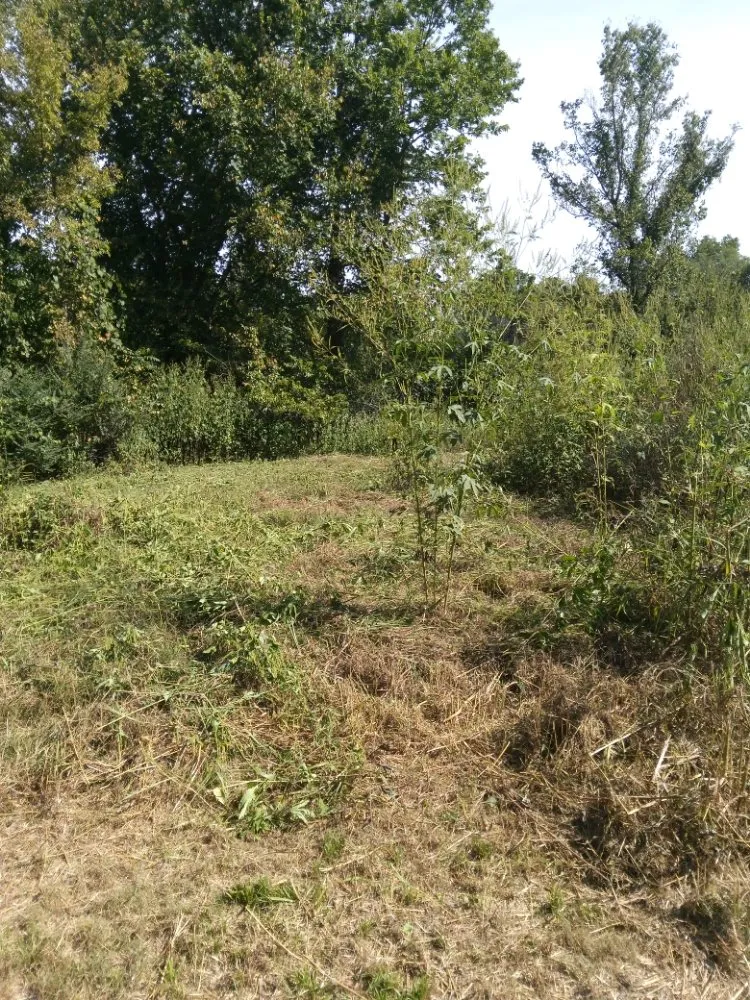 Trusted yard maintenance for outdoor upgrades in Neosho, MO by Big Monkey Lawncare