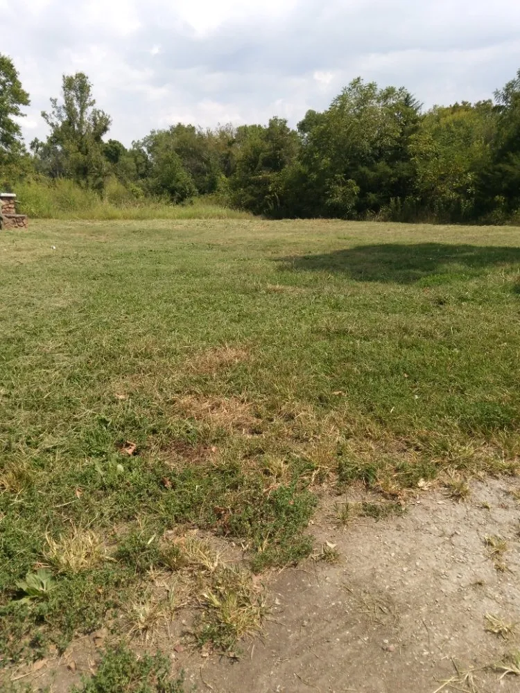 Expert landscape installation in Neosho, MO by Big Monkey Lawncare