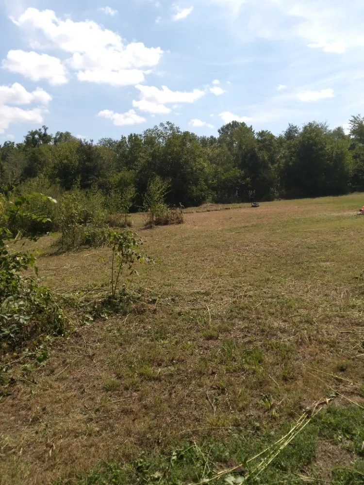 Custom landscape design for beautiful yards across Neosho, MO - Big Monkey Lawncare