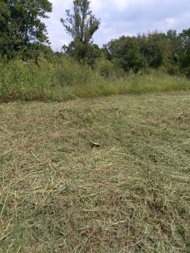 Reliable yard maintenance in Neosho, MO - Big Monkey Lawncare