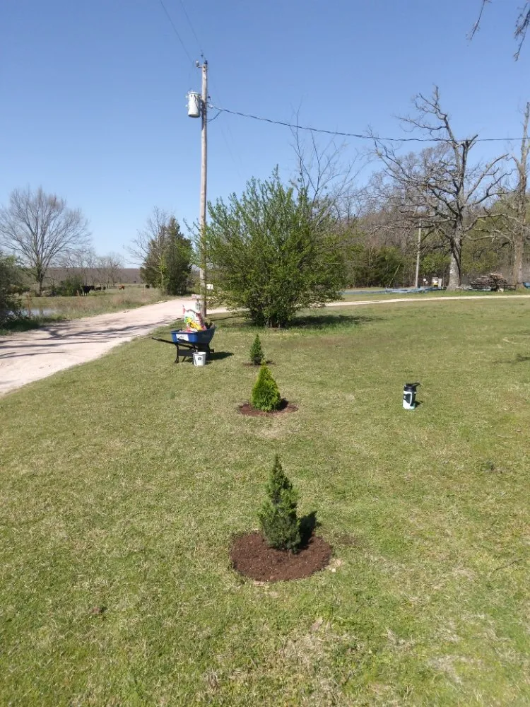 Local residential landscaping for year-round maintenance in Neosho, MO by Big Monkey Lawncare