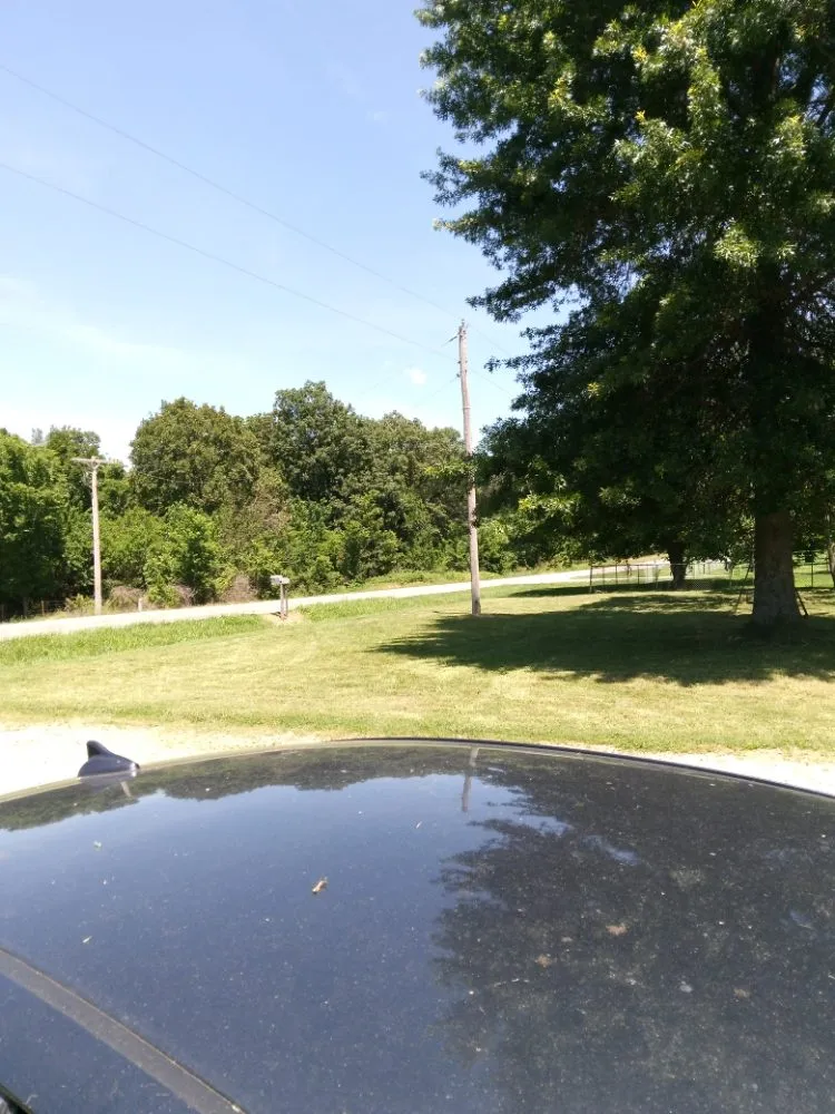 Affordable landscaping services experts serving Neosho, MO - Big Monkey Lawncare