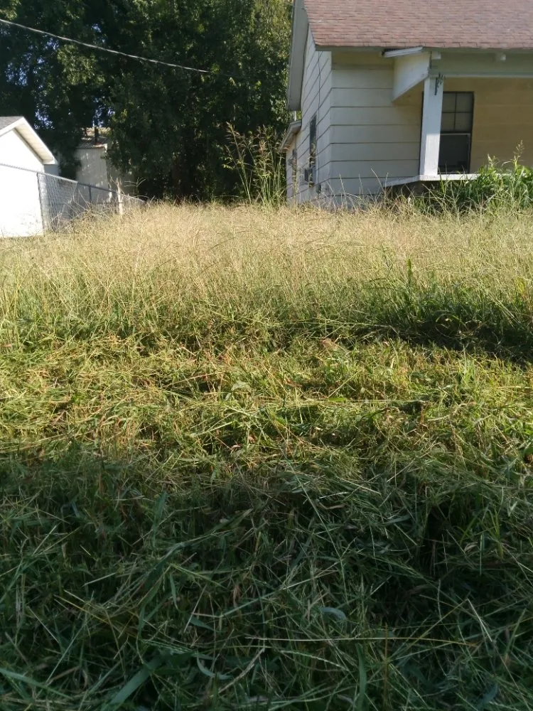Affordable yard cleanup service in Neosho, MO by Big Monkey Lawncare