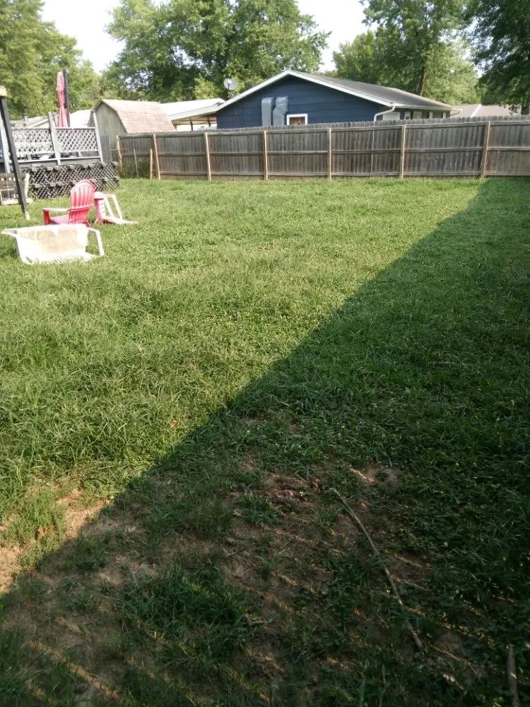 Reliable landscape design for year-round maintenance across Neosho, MO - Big Monkey Lawncare