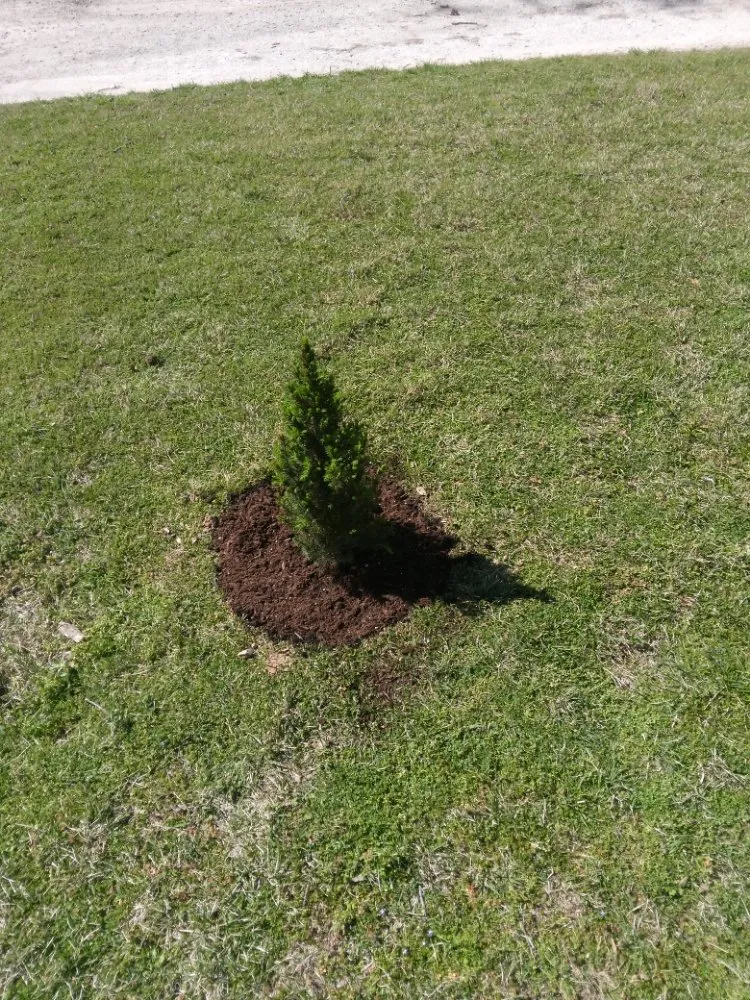 Professional lawn mowing service in Neosho, MO by Big Monkey Lawncare