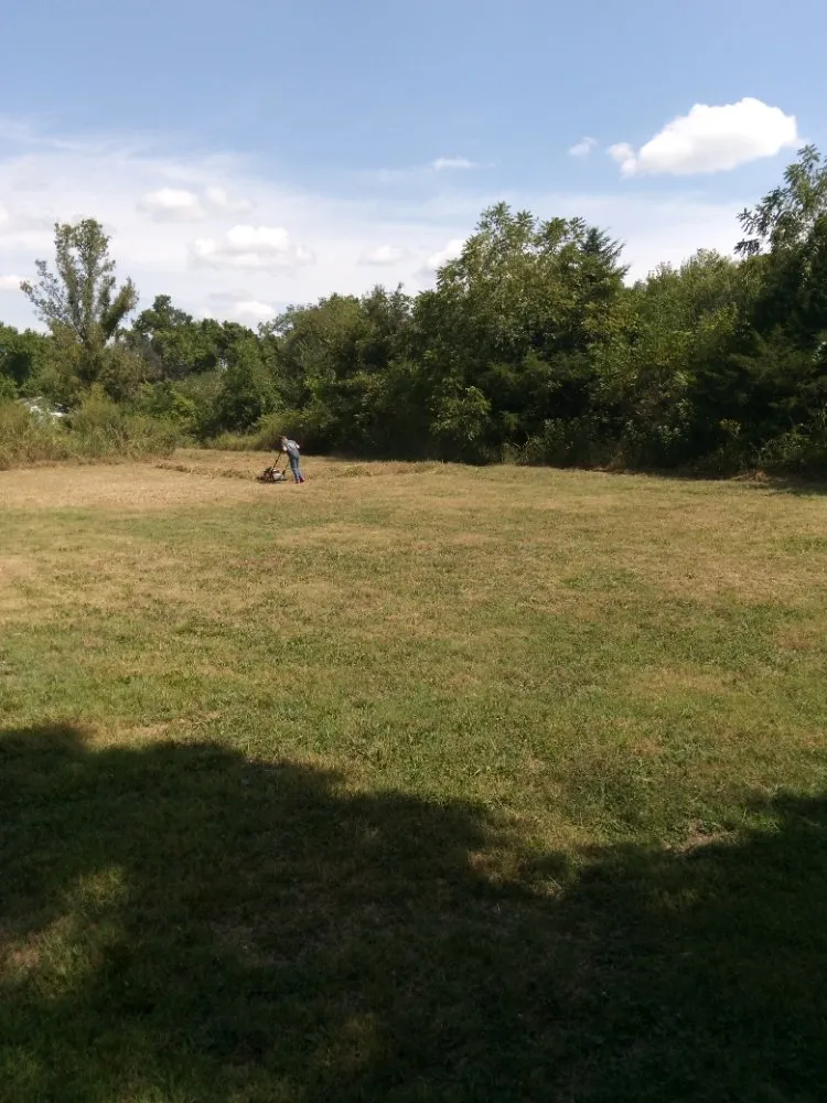 Local lawn mowing service in Neosho, MO - Big Monkey Lawncare