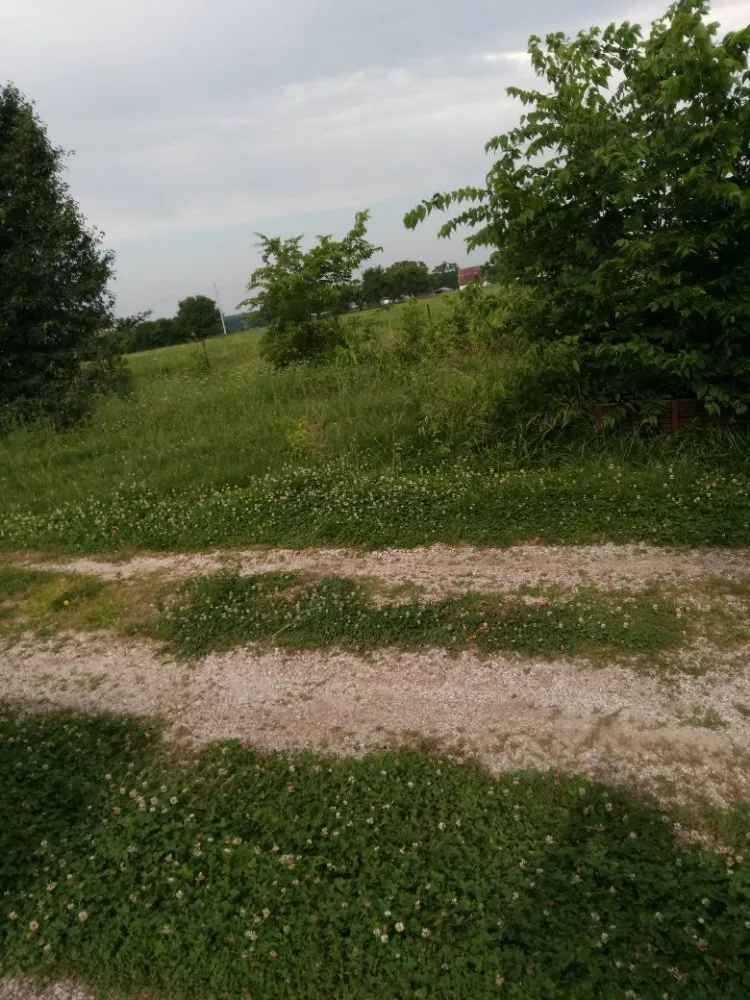 Custom outdoor landscaping experts serving Neosho, MO - Big Monkey Lawncare