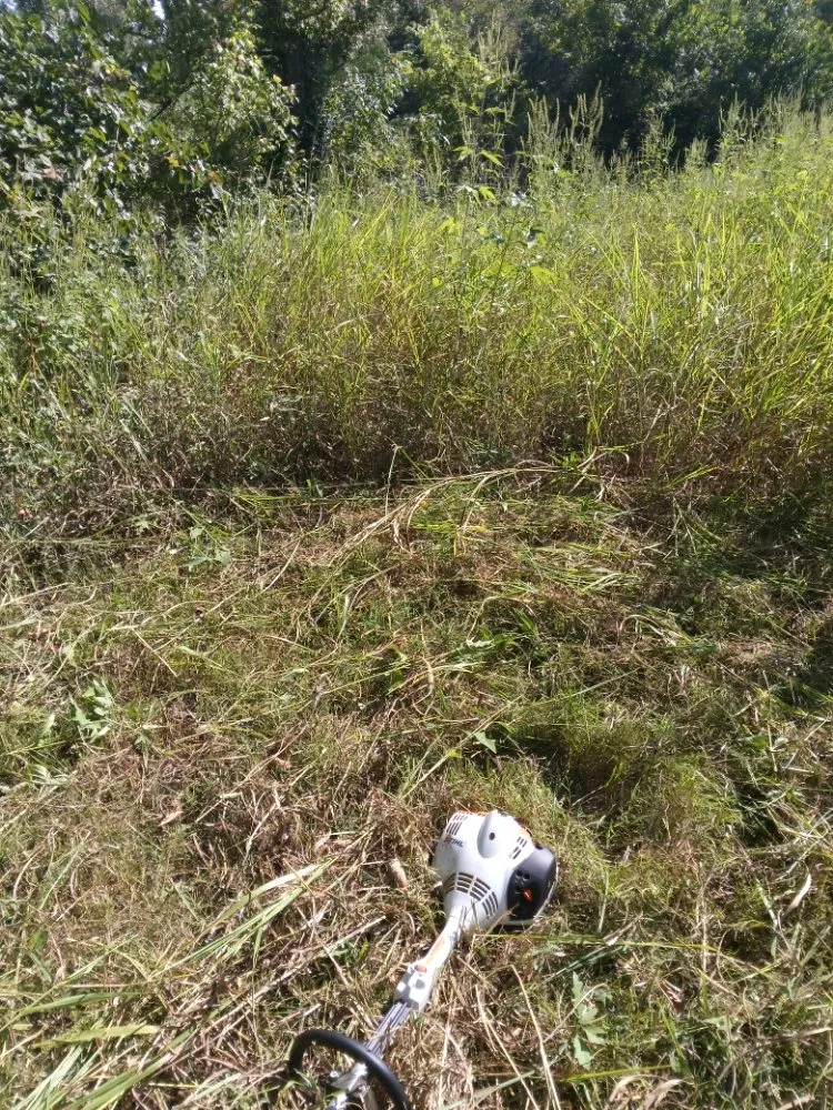 Affordable lawn care service for beautiful yards across Neosho, MO - Big Monkey Lawncare