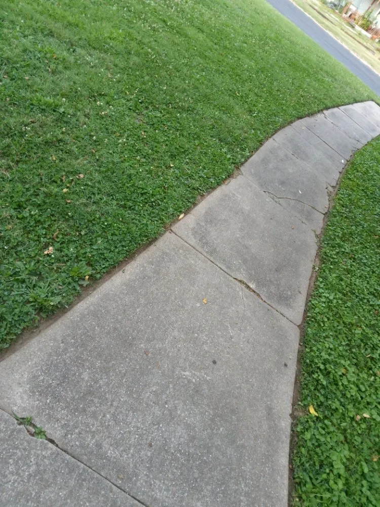 Top-rated yard cleanup service in Neosho, MO - Big Monkey Lawncare